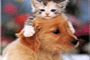 Friendship